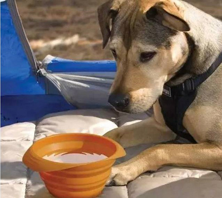 東莞<a href='http://www.chidaodinuan.com/' class='keys' title='點(diǎn)擊查看關(guān)于帝博硅膠制品廠的相關(guān)信息' target='_blank'>帝博硅膠制品廠</a>