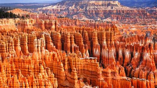 1124ds.jpg 1124ds.jpg